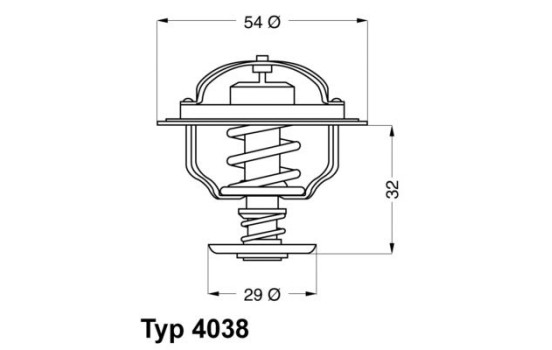 Thermostat, coolant