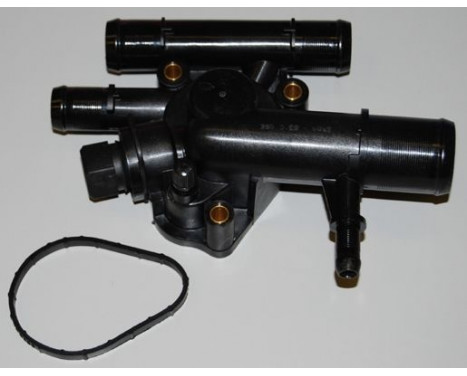Thermostat, coolant