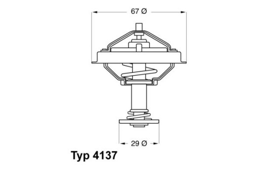 Thermostat, coolant