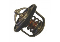 Thermostat, coolant