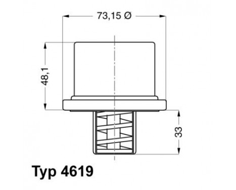 Thermostat, coolant