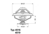 Thermostat, coolant