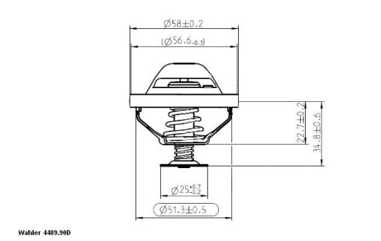 Thermostat, coolant