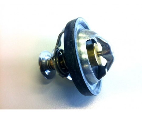 Thermostat, coolant, Image 2