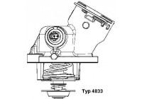 Thermostat, coolant