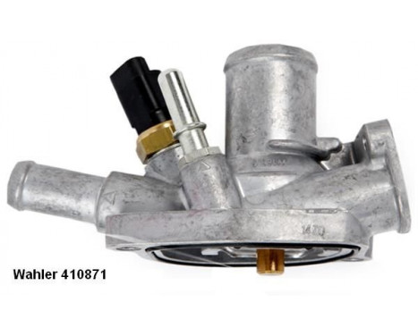 Thermostat, coolant