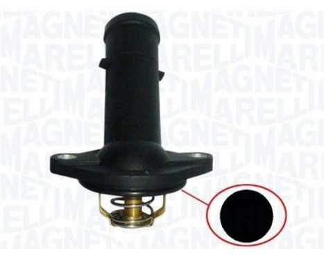 Thermostat, coolant