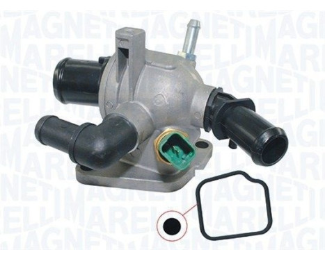 Thermostat, coolant