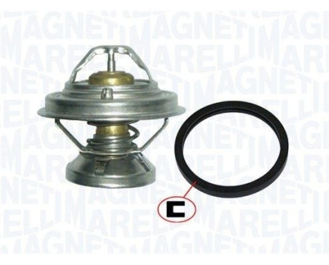 Thermostat, coolant