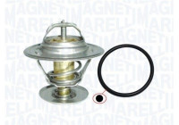 Thermostat, coolant