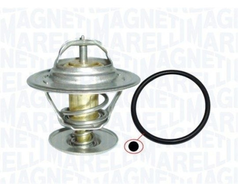 Thermostat, coolant