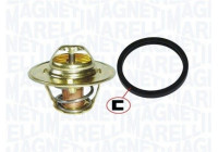 Thermostat, coolant