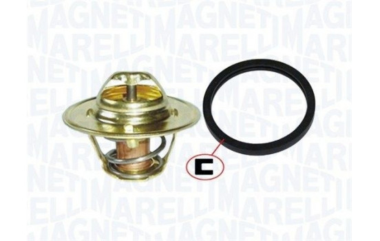 Thermostat, coolant