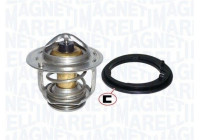 Thermostat, coolant