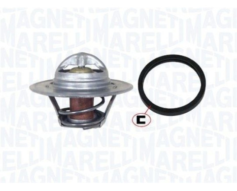 Thermostat, coolant