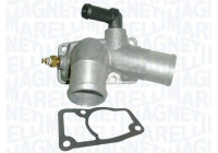 Thermostat, coolant