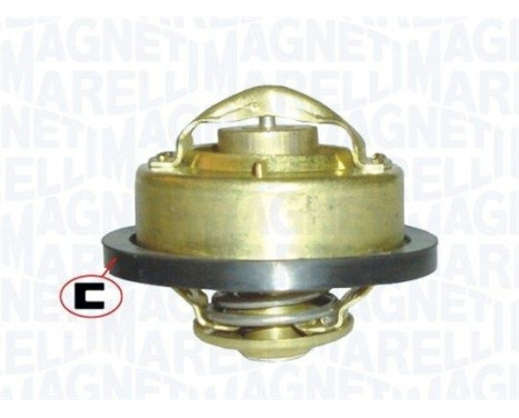 Thermostat, coolant