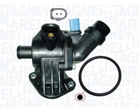 Thermostat, coolant