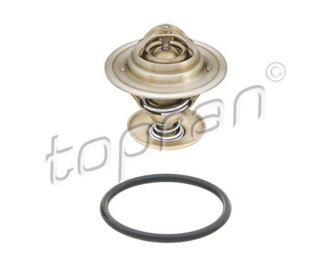 Thermostat, coolant