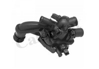 Thermostat, coolant