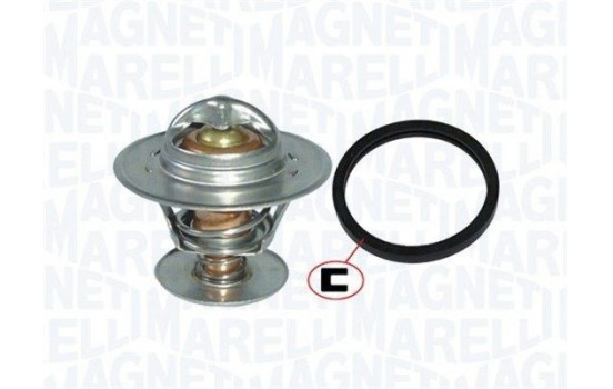 Thermostat, coolant