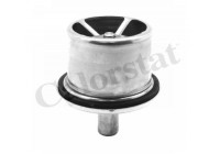 Thermostat, coolant