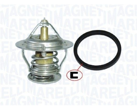 Thermostat, coolant