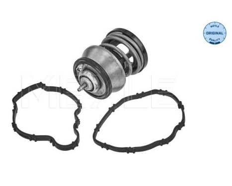 Thermostat, coolant