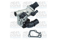 Thermostat, coolant