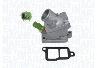 Thermostat, coolant