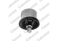 Thermostat, coolant