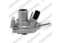 Thermostat, coolant