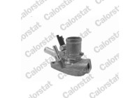 Thermostat, coolant