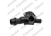 Thermostat, coolant