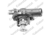 Thermostat, coolant