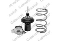 Thermostat, coolant