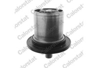 Thermostat, coolant