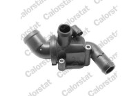 Thermostat, coolant