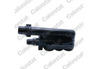 Thermostat, coolant