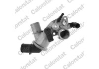 Thermostat, coolant