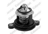 Thermostat, coolant