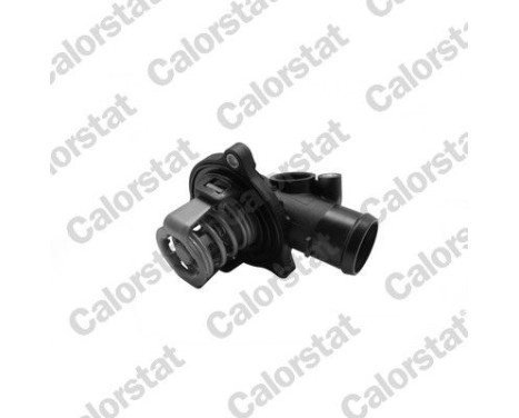 Thermostat, coolant