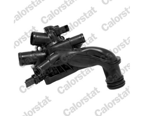 Thermostat, coolant