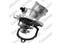 Thermostat, coolant