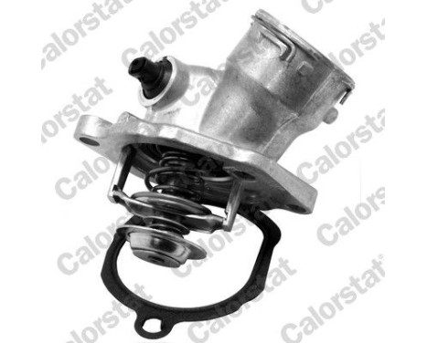 Thermostat, coolant