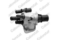 Thermostat, coolant