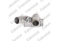 Thermostat, coolant