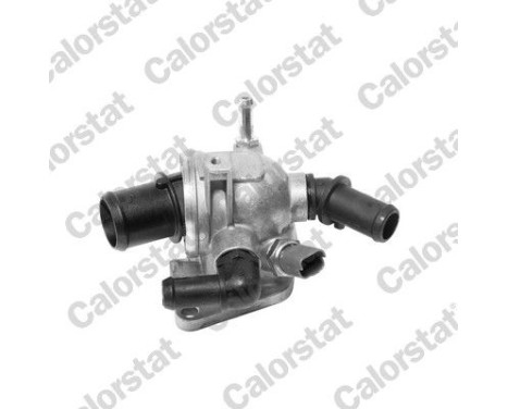 Thermostat, coolant