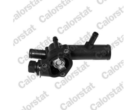 Thermostat, coolant