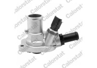 Thermostat, coolant